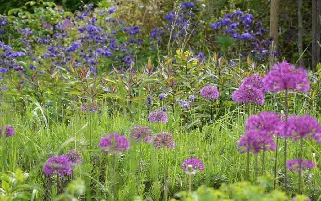 12_small-patch-of-flowers3_westmountmag