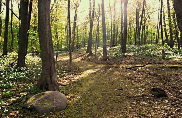 summit-circle_springtime-paths_westmountmag