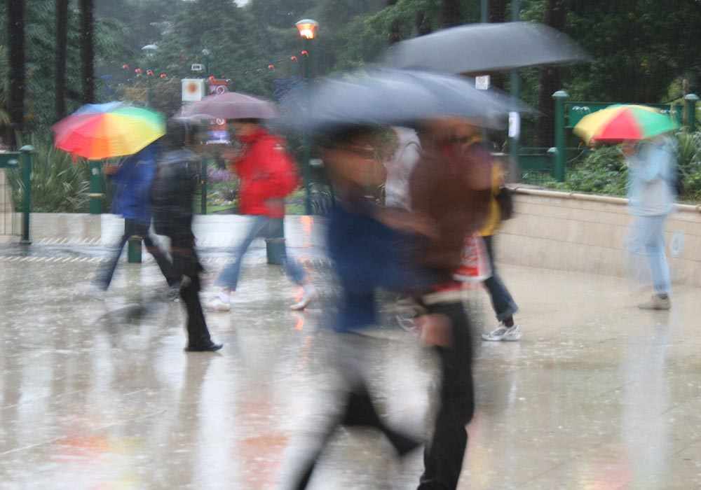 p_multicolour_umbrellas