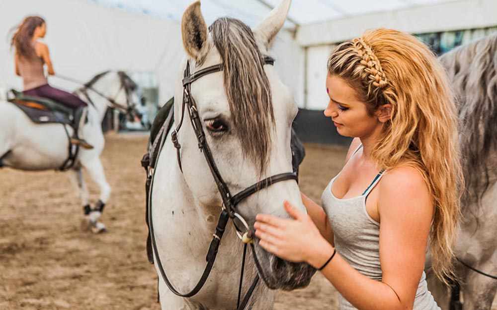 Odysseo: photo James St-Laurent - WestmountMag.ca