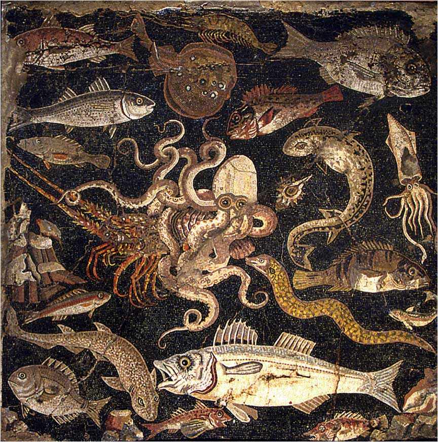 Marine fauna floor mosaic