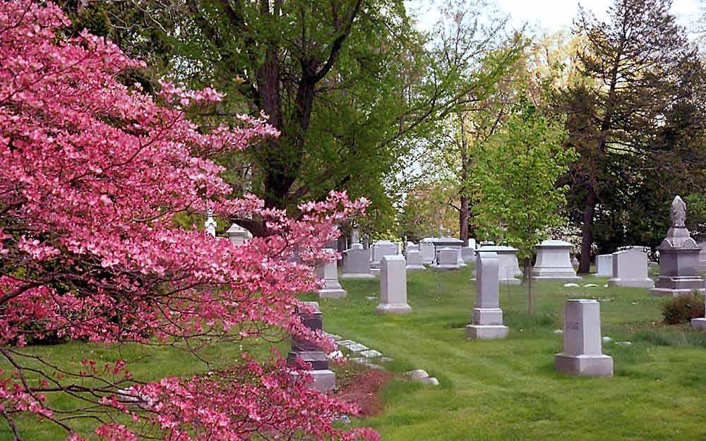 cemetary-spring_westmountmag