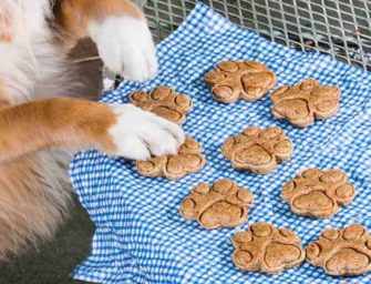 The Finer Cookie: <br>Homemade Dog Treats