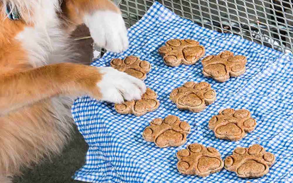 The Finer Cookie Homemade Dog Treats Westmount Magazine