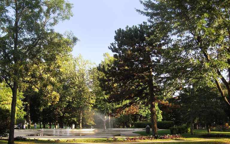 Westmount Park trees - photo: Andrew Burlone
