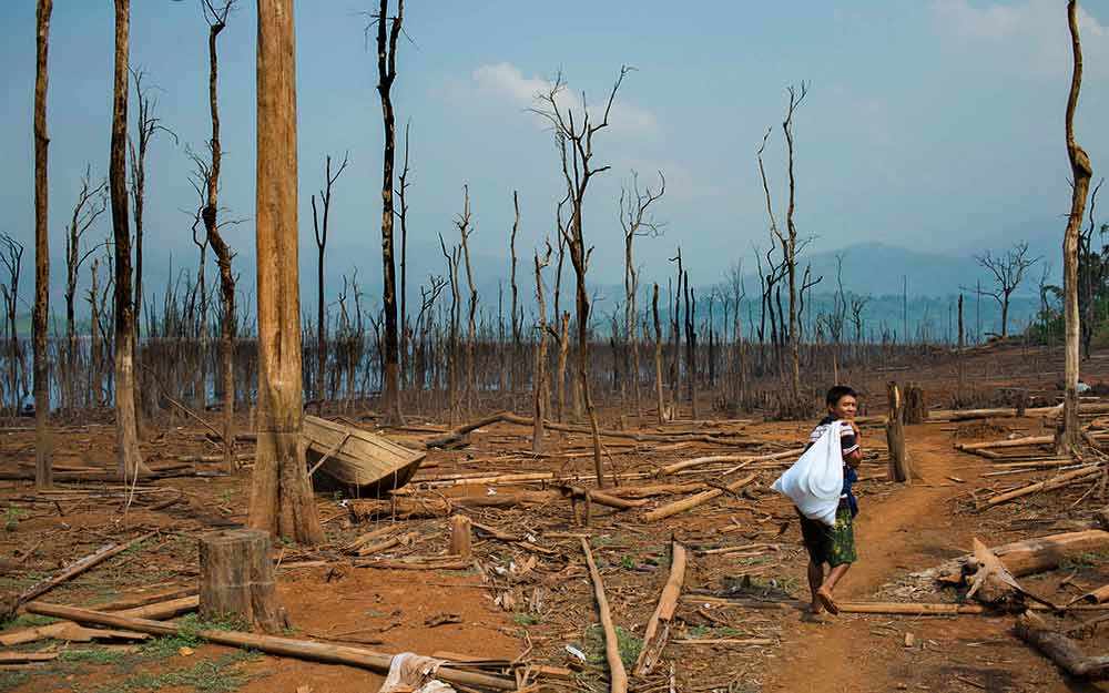 displaced-person2_westmountmag