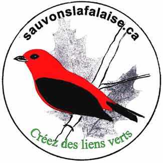 logo Sauvons la falaise! WestmountMag.ca