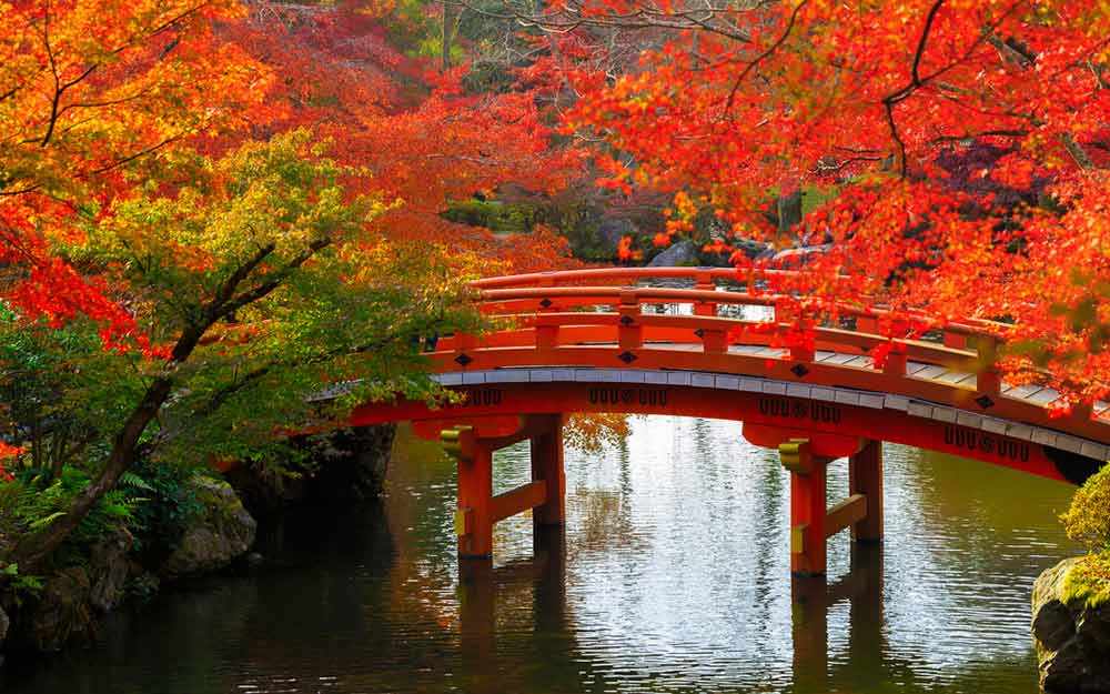 japan-wooden-bridge_westmountmag