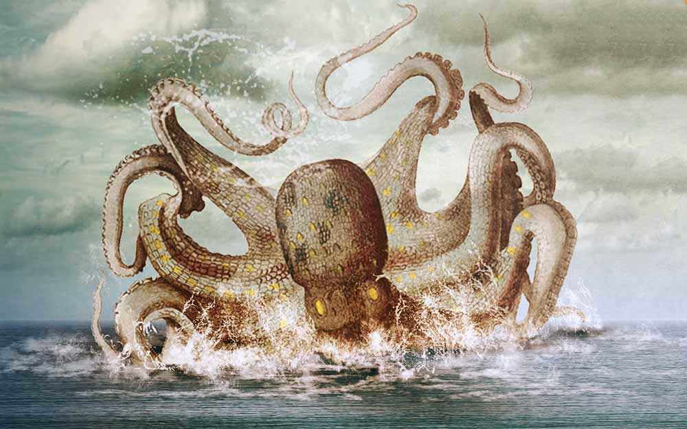 octopus-2_westmountmag