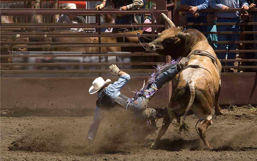 bull-riding_westmountmag