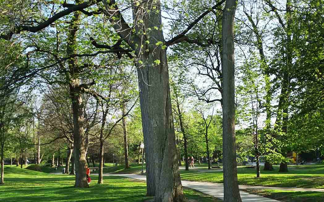 basswood_feature_westmountmag