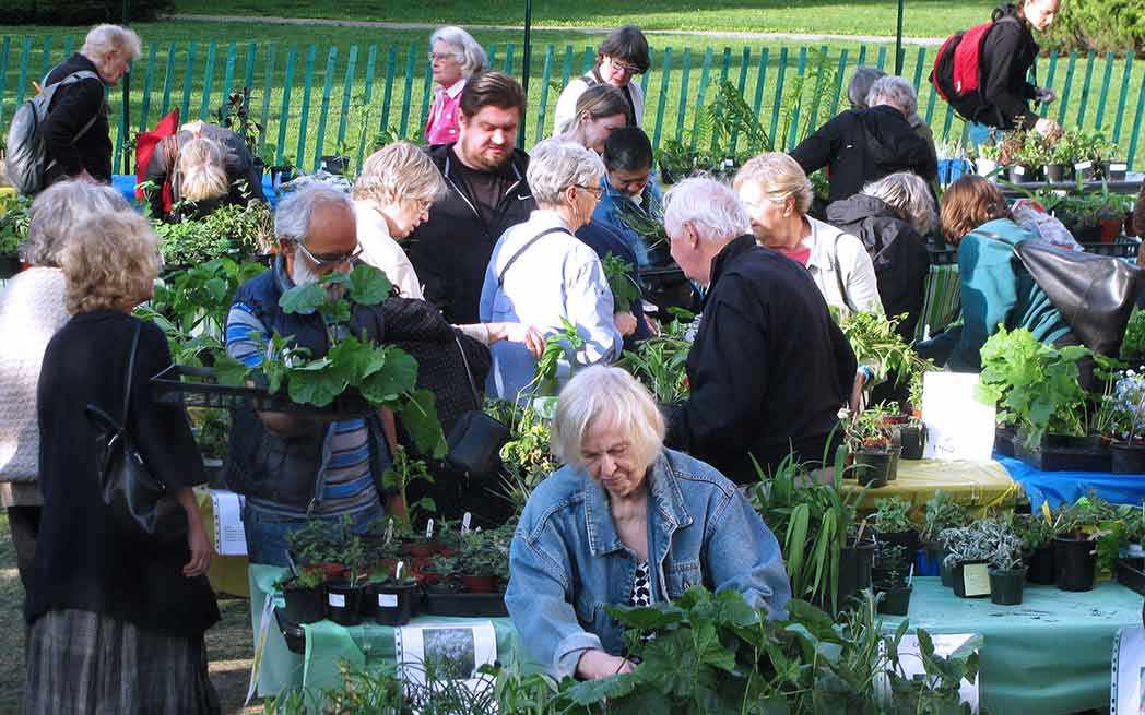 westmount-plant-exchange_westmountmag