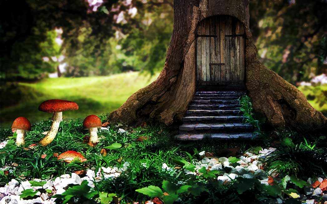 1-secret-forest-door_westmountmag