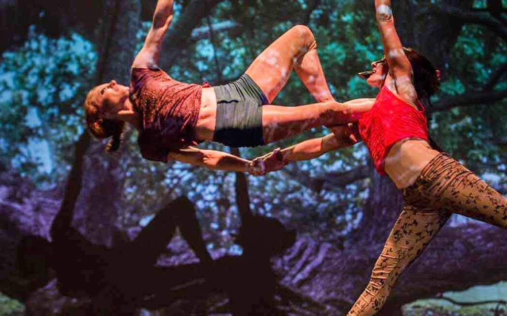 goblin-market_westmountmag