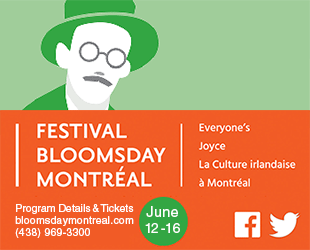 Yulin Festival: stopping the horrific dog meat trade - Westmount Magazine