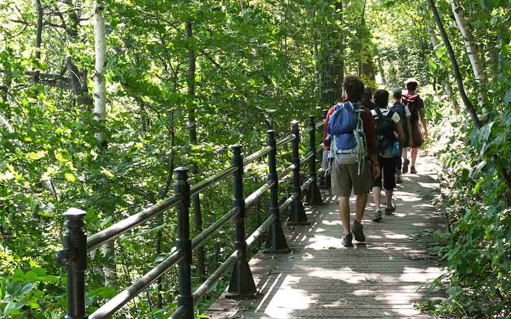 mont-royal_westmountmag