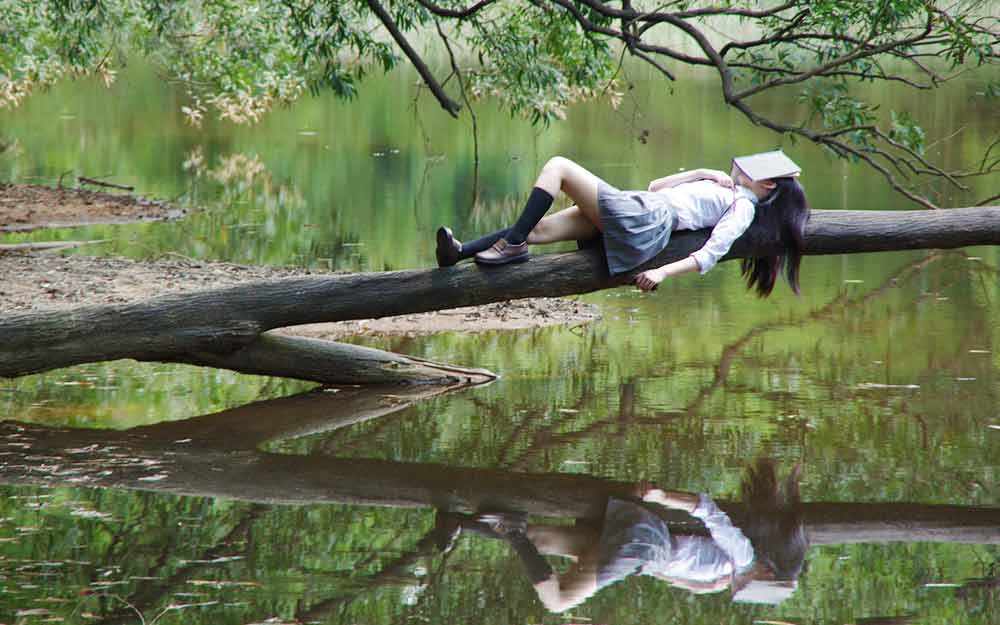 summerdream_westmountmag