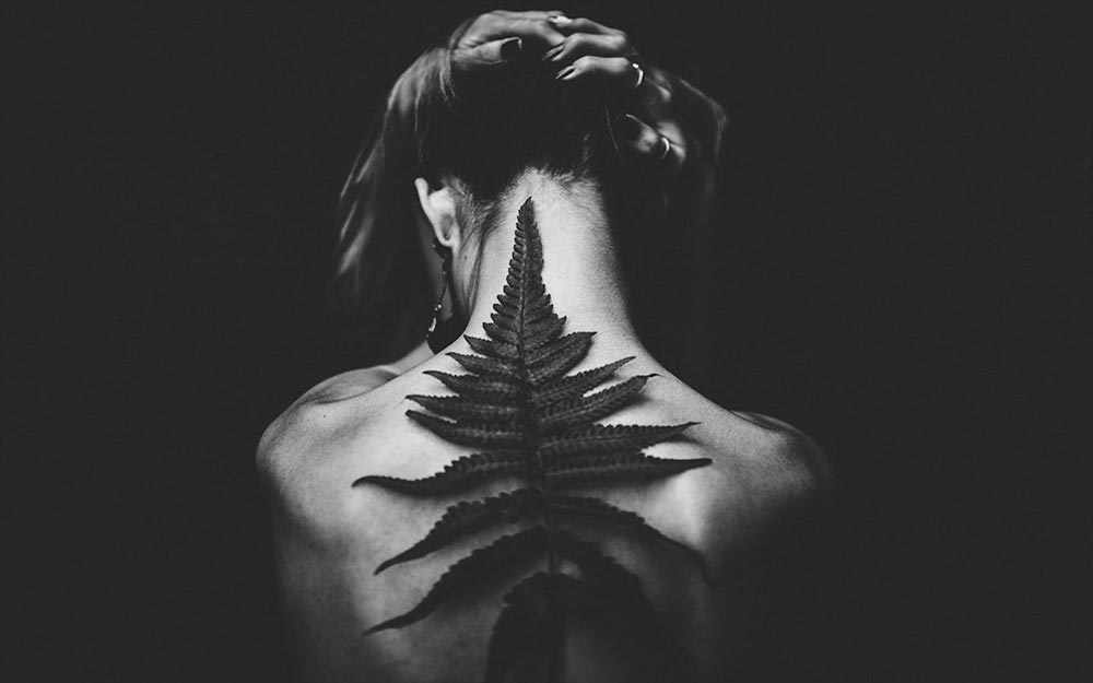 harpooner_westmountmag