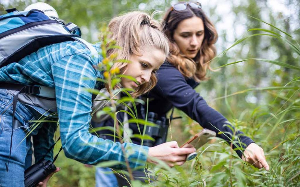 Nature Conservancy BioBlitz