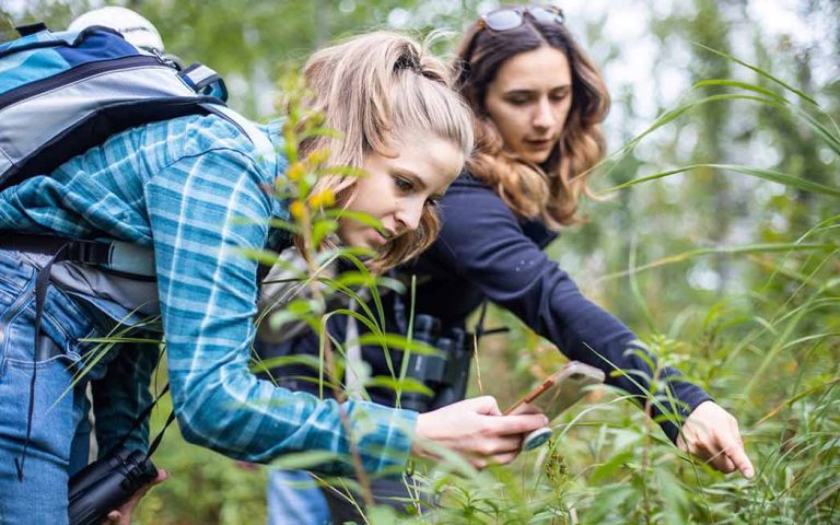 Nature Conservancy BioBlitz