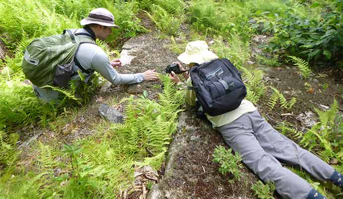 Nature Conservancy BioBlitz