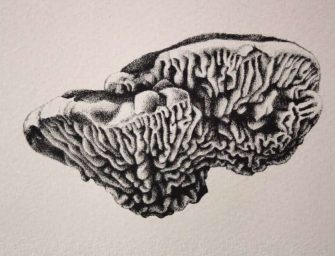 “I Am a Tree”, an inner voyage