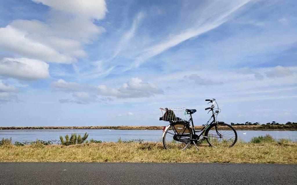bike near river - WestmountMag.ca
