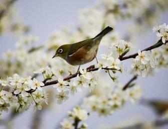 Pause for poetry: <br>Michael Hawkes /5