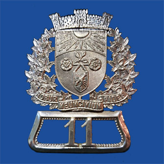 cap badge with new seal and number