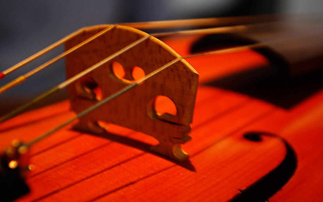 cello_1048_westmountmag.ca