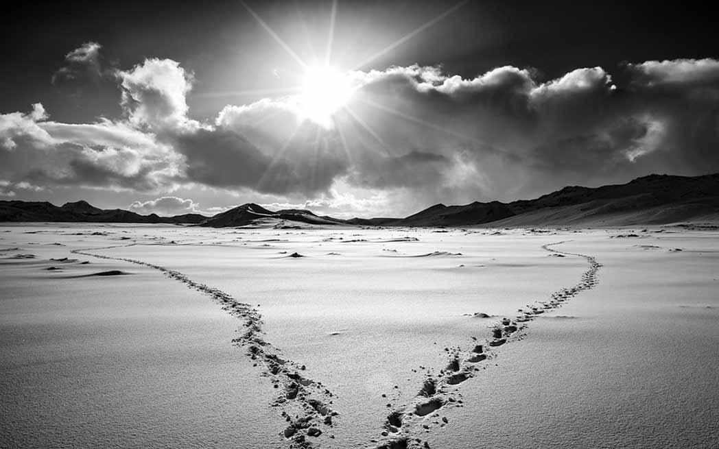 choisir-chose_westmountmag