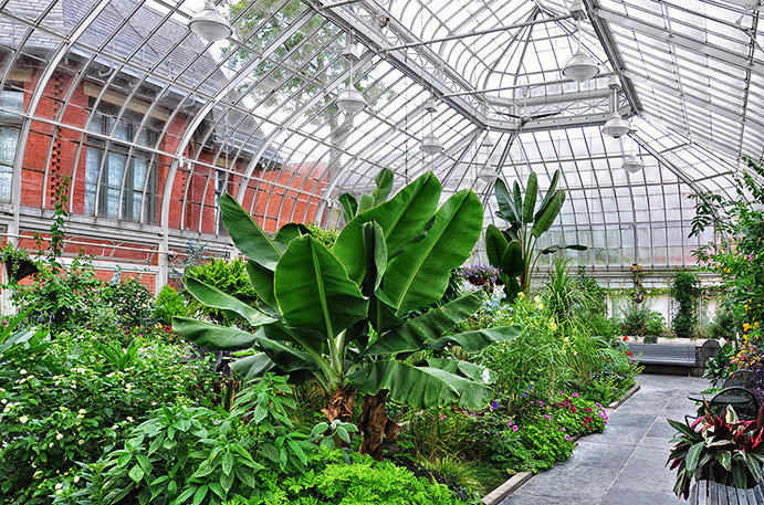 View of the Westmount Conservatory pre-closure 