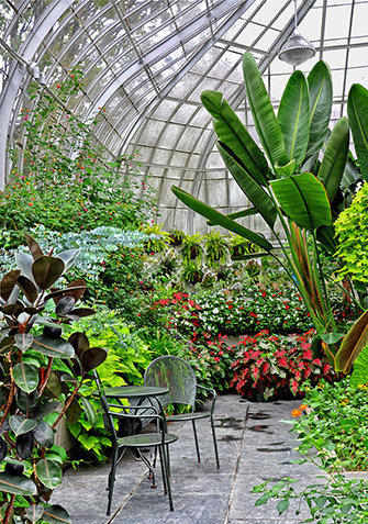 a corner of the former Conservatory