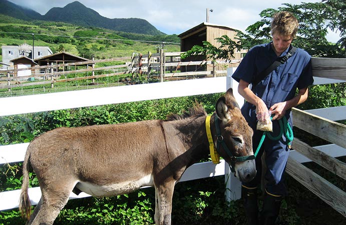 Dr. Cory Greenfield at vet school with a donkey