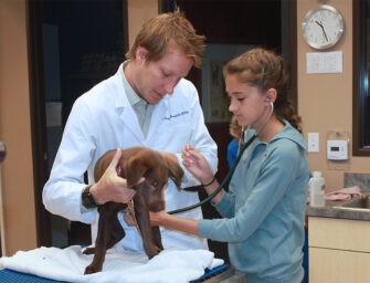 An interview with veterinarian <br>Dr. Cory Greenfield