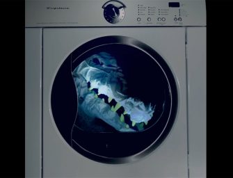 Croyez-vous aux fées ? et autres questions urgentes