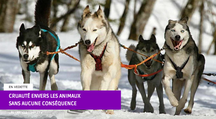 Westmount Magazine : les articles les plus lus en 2024