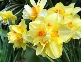 Westmount Here & There <br>May 1, 2026