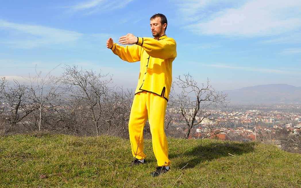 Do-Tai-Chi’s-Horse-Stance_westmountmag