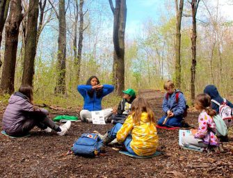 Call of the Wild <br loading=