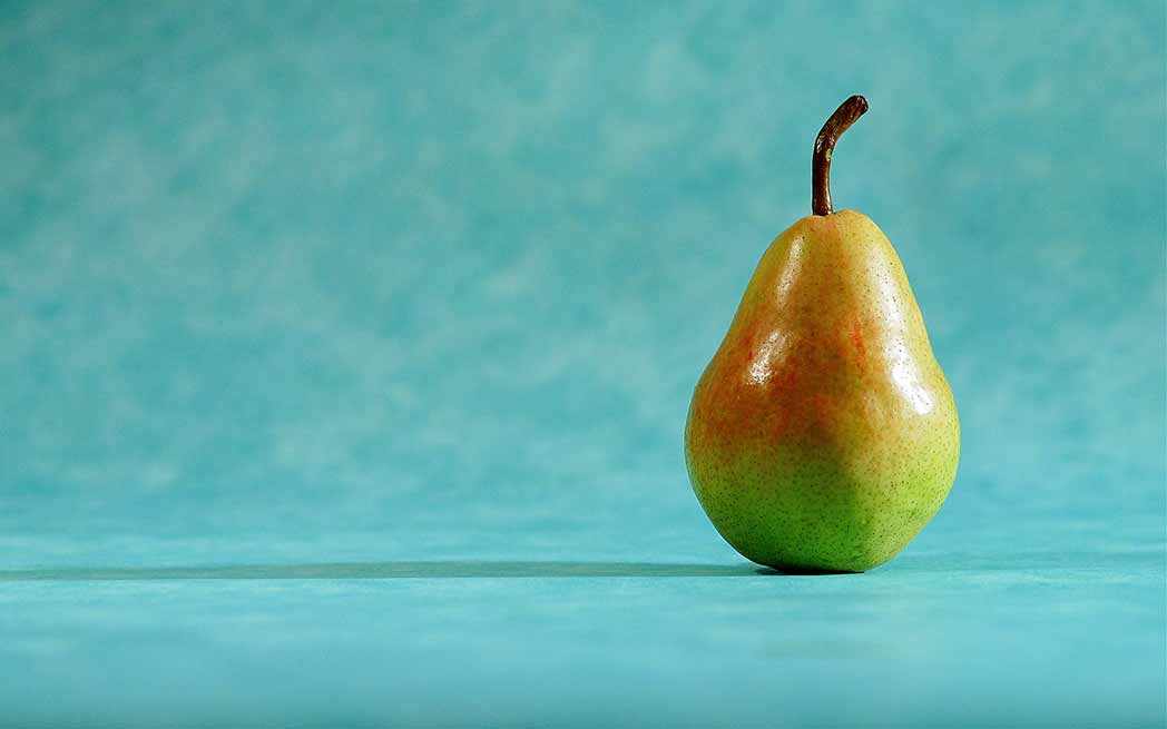festival-vegane-de-montreal_fvmtl2019_westmountmag