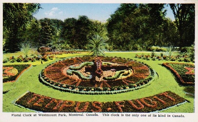 Carte postale de l'horloge florale du parc Westmount - Westmount Floral Clock 1927