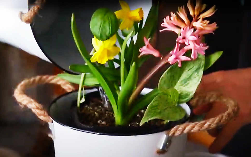 flower-pot_westmountmag