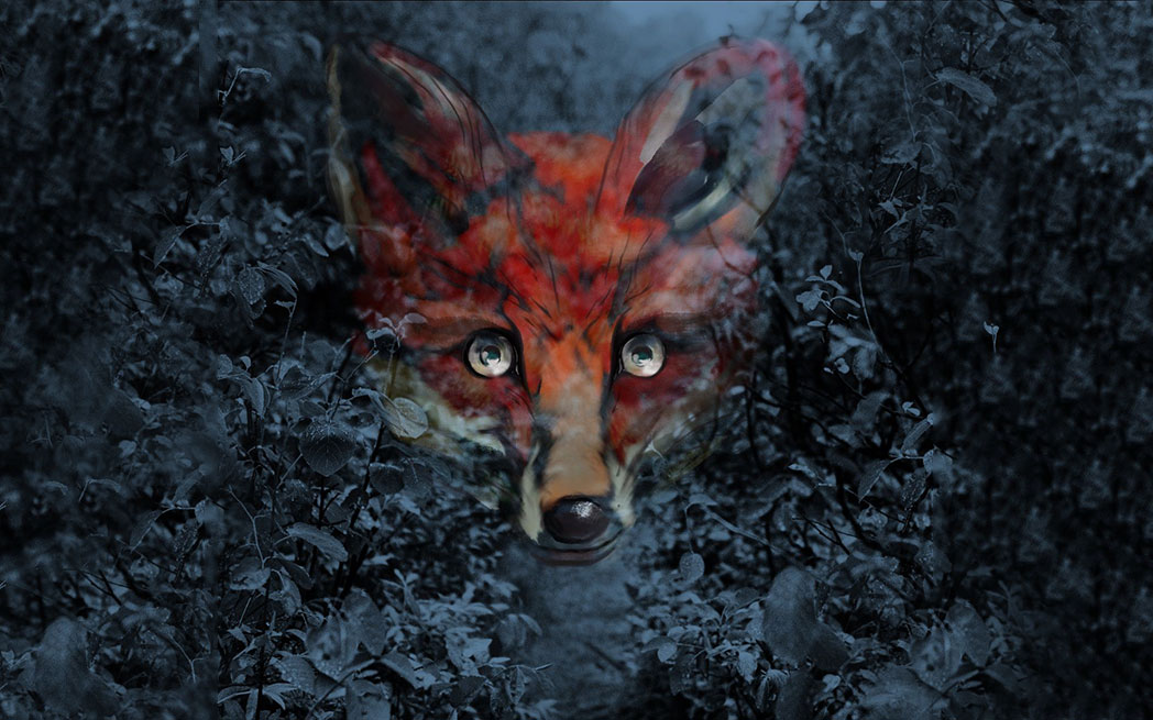 foxfinder_westmountmag.ca