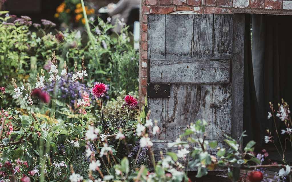 garden–annie-spratt-unsplash_1024