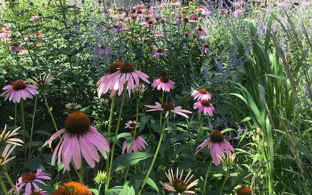 garden0797-1_westmountmag