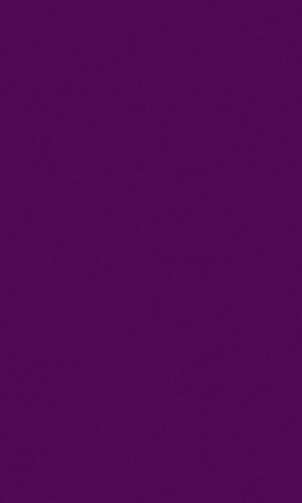 Geordie's Bigbox: Playground Festival