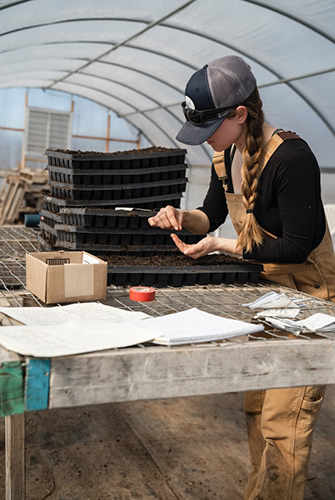 greenhouse worker