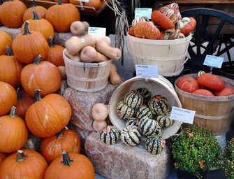 Westmount Here & There <br loading=