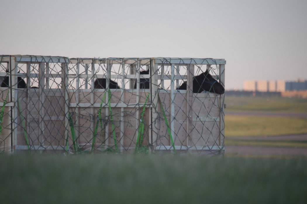 head sticking out could get caught